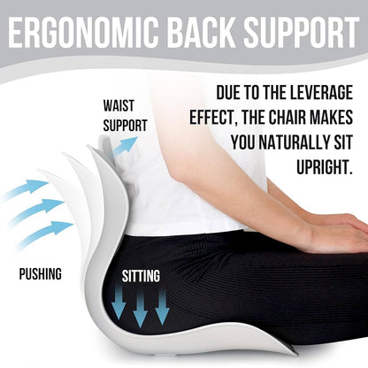Ergonomic Lower Back Support Chair Cushion