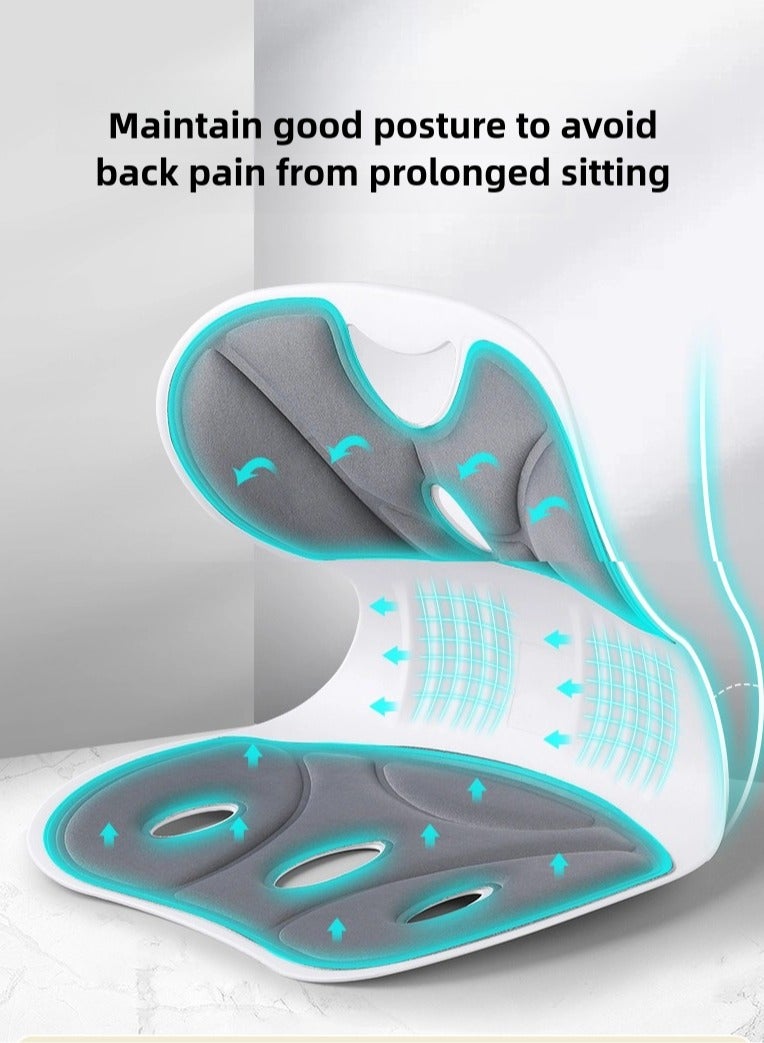 Ergonomic Lower Back Support Chair Cushion
